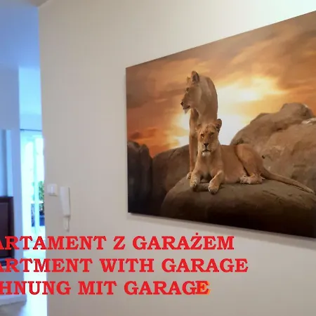 Appartamento Lion Zen *